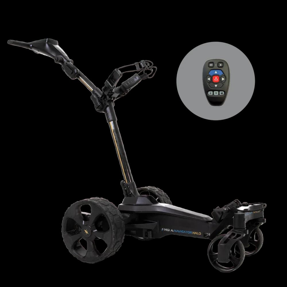 Electric Carts